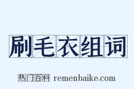 刷毛衣组词是什么意思的图片